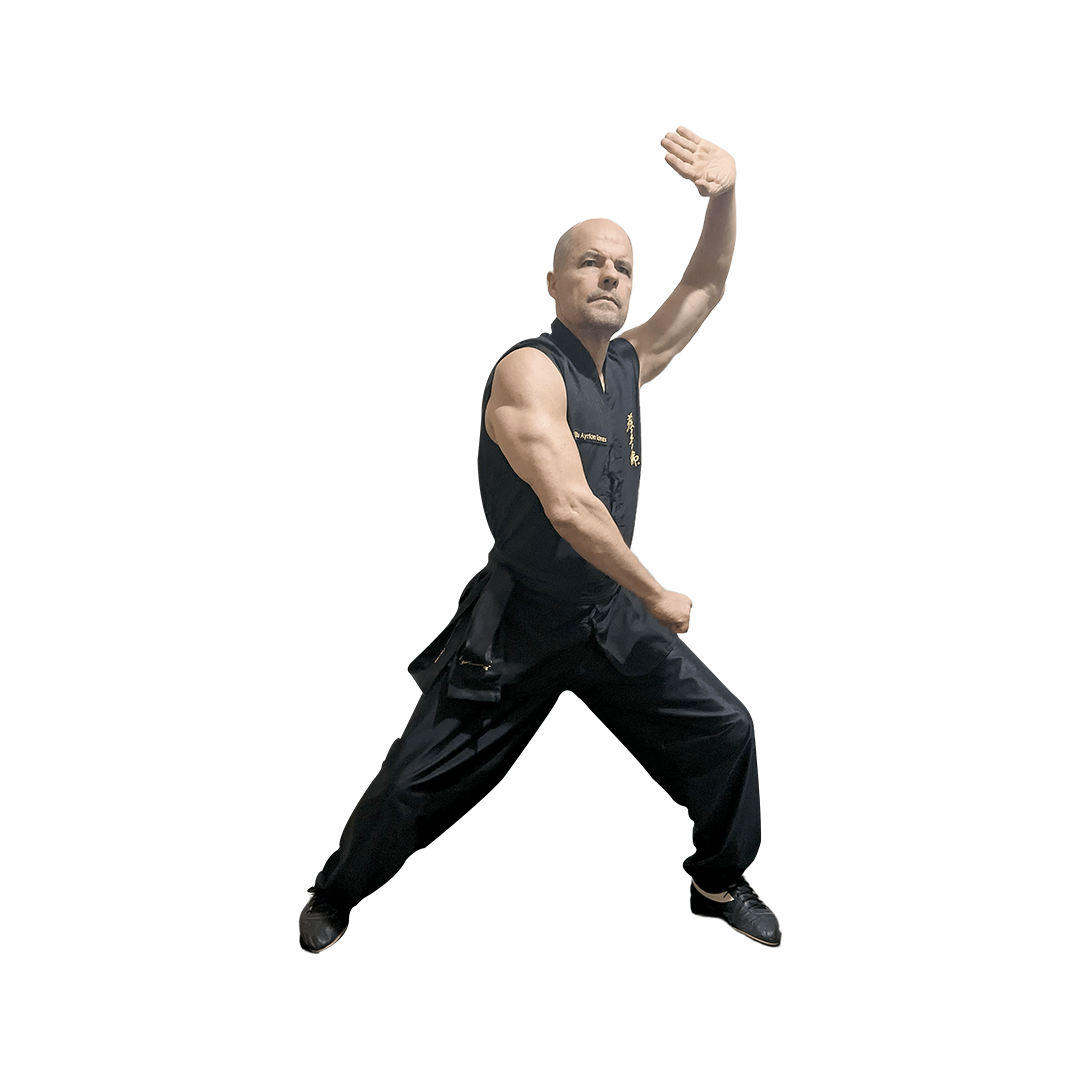 Kung Fu | Vitória